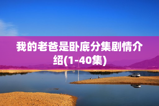 我的老爸是卧底分集剧情介绍(1-40集)