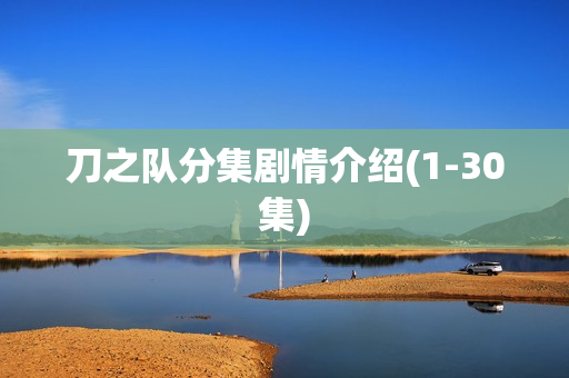 刀之队分集剧情介绍(1-30集)