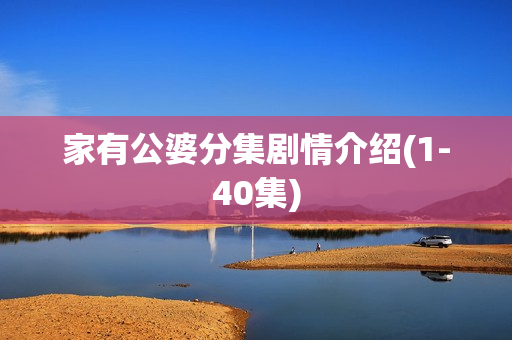 家有公婆分集剧情介绍(1-40集)