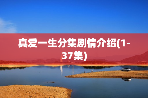 真爱一生分集剧情介绍(1-37集) 真爱一生分集剧情介绍(1-37集)
