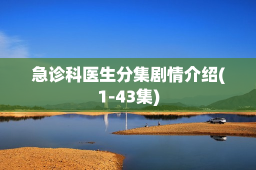 急诊科医生分集剧情介绍(1-43集)