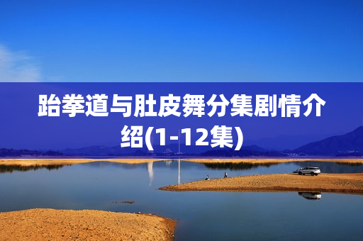 跆拳道与肚皮舞分集剧情介绍(1-12集)