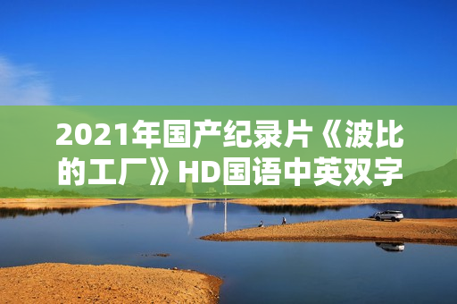 2021年国产纪录片《波比的工厂》HD国语中英双字 2021年国产纪录片《波比的工厂》HD国语中英双字