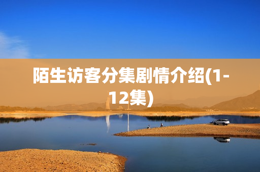 陌生访客分集剧情介绍(1-12集)