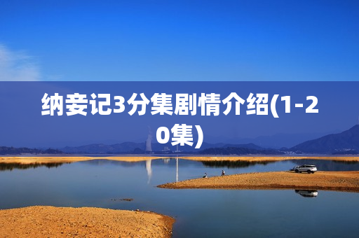 纳妾记3分集剧情介绍(1-20集)