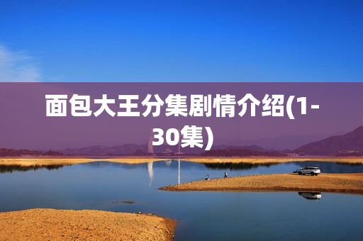 面包大王分集剧情介绍(1-30集)