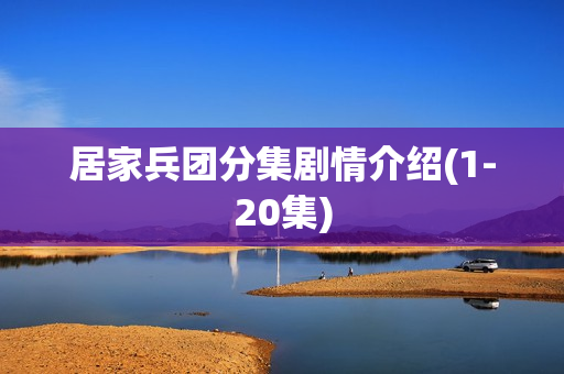 居家兵团分集剧情介绍(1-20集)