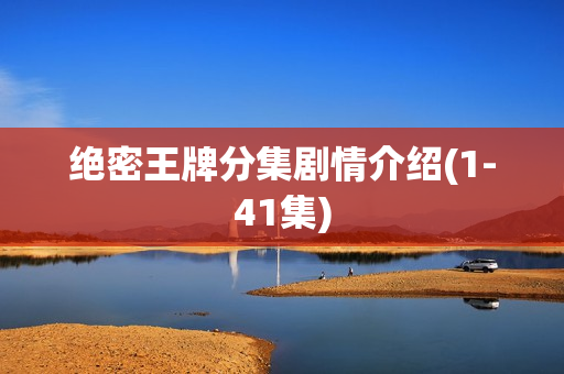 绝密王牌分集剧情介绍(1-41集)