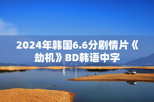 2024年韩国6.6分剧情片《劫机》BD韩语中字