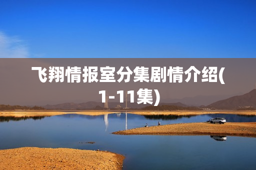 飞翔情报室分集剧情介绍(1-11集)