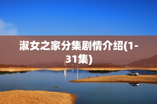 淑女之家分集剧情介绍(1-31集)