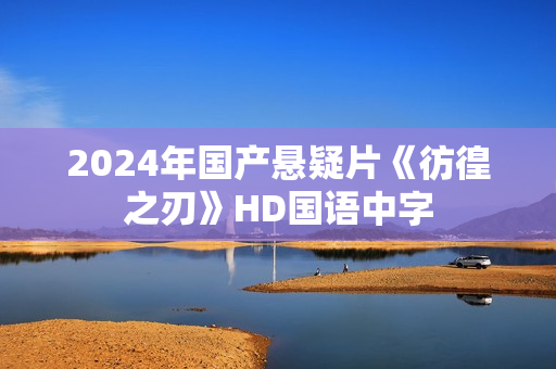 2024年国产悬疑片《彷徨之刃》HD国语中字