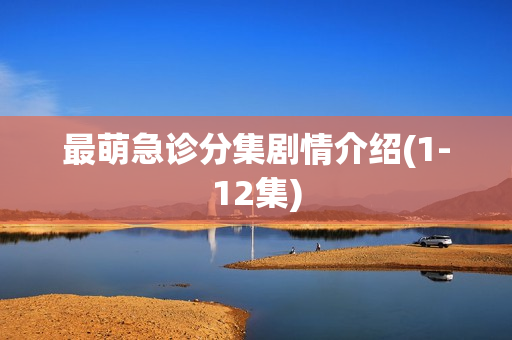 最萌急诊分集剧情介绍(1-12集)