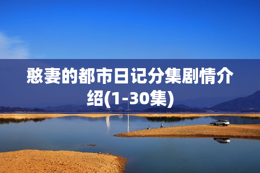 憨妻的都市日记分集剧情介绍(1-30集)
