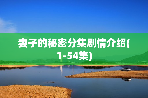 妻子的秘密分集剧情介绍(1-54集)