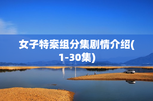 女子特案组分集剧情介绍(1-30集) 女子特案组分集剧情介绍(1-30集)