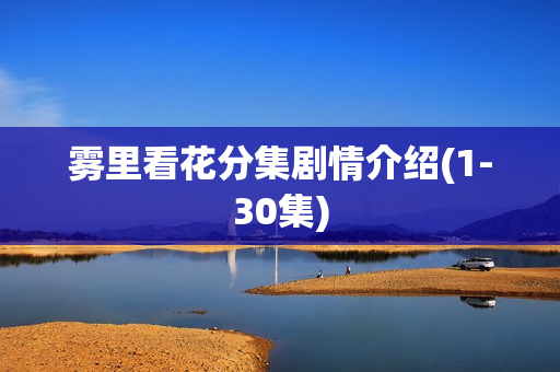 雾里看花分集剧情介绍(1-30集)