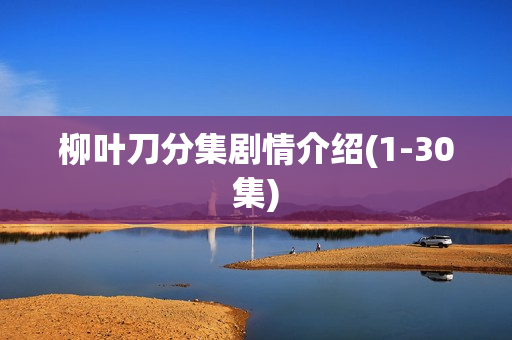 柳叶刀分集剧情介绍(1-30集)