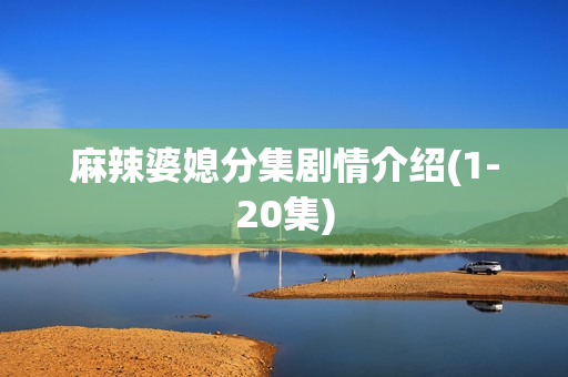 麻辣婆媳分集剧情介绍(1-20集)