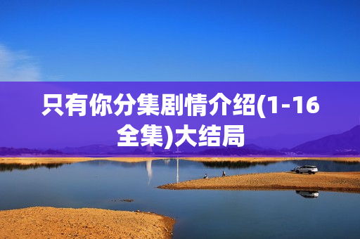 只有你分集剧情介绍(1-16全集)大结局 只有你分集剧情介绍(1-16全集)大结局