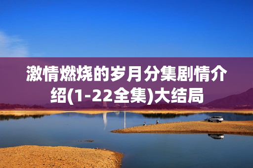 激情燃烧的岁月分集剧情介绍(1-22全集)大结局