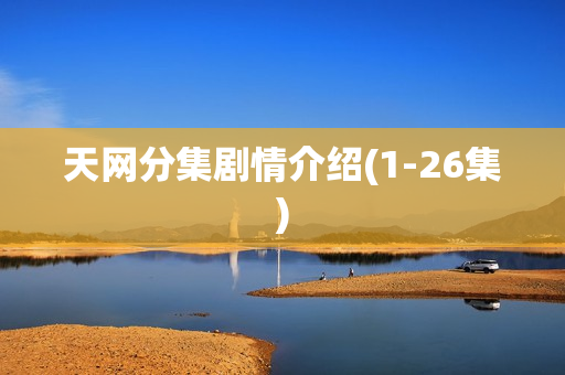 天网分集剧情介绍(1-26集)
