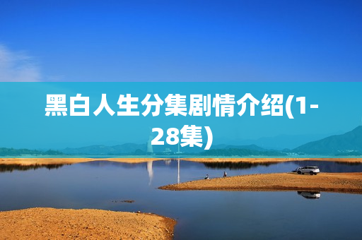 黑白人生分集剧情介绍(1-28集)