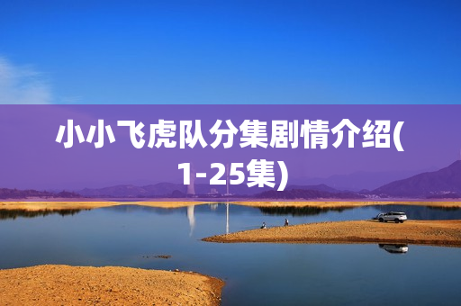 小小飞虎队分集剧情介绍(1-25集)