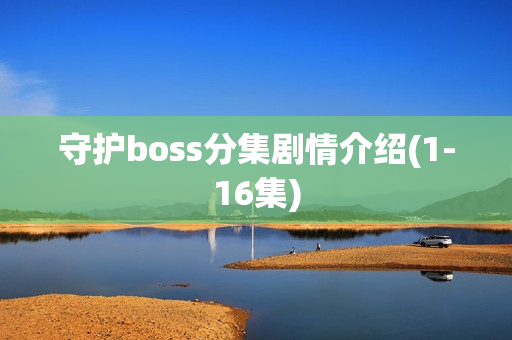 守护boss分集剧情介绍(1-16集)