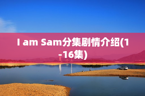 I am Sam分集剧情介绍(1-16集)