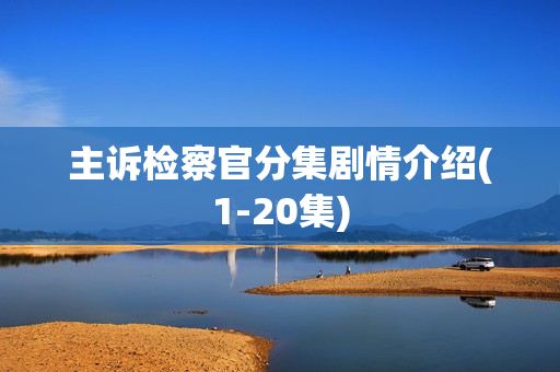 主诉检察官分集剧情介绍(1-20集)