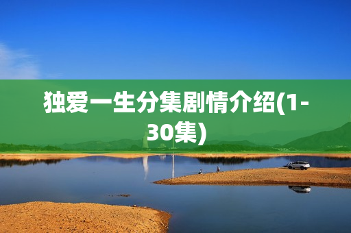 独爱一生分集剧情介绍(1-30集)