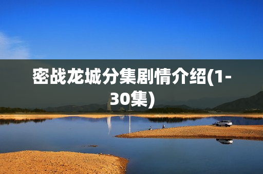 密战龙城分集剧情介绍(1-30集)