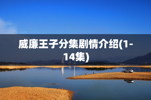 威廉王子分集剧情介绍(1-14集)