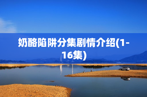 奶酪陷阱分集剧情介绍(1-16集)