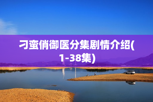 刁蛮俏御医分集剧情介绍(1-38集) 刁蛮俏御医分集剧情介绍(1-38集)