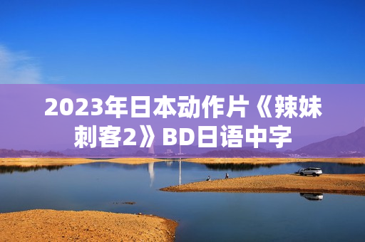 2023年日本动作片《辣妹刺客2》BD日语中字