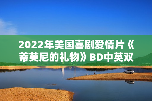 2022年美国喜剧爱情片《蒂芙尼的礼物》BD中英双字