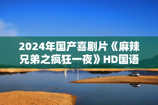 2024年国产喜剧片《麻辣兄弟之疯狂一夜》HD国语中字