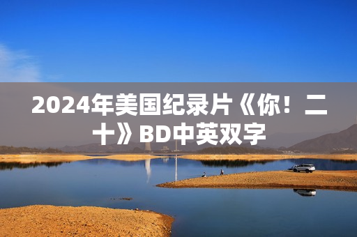 2024年美国纪录片《你！二十》BD中英双字