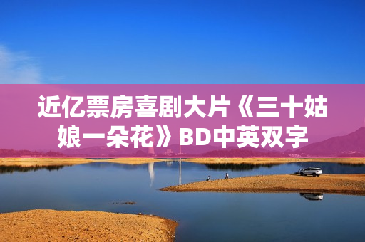 近亿票房喜剧大片《三十姑娘一朵花》BD中英双字