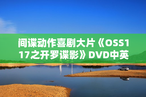 间谍动作喜剧大片《OSS117之开罗谍影》DVD中英双字