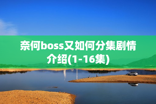 奈何boss又如何分集剧情介绍(1-16集)