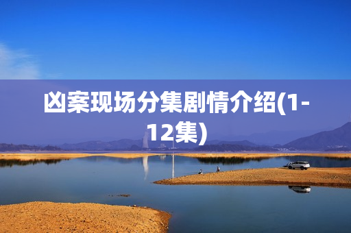 凶案现场分集剧情介绍(1-12集)