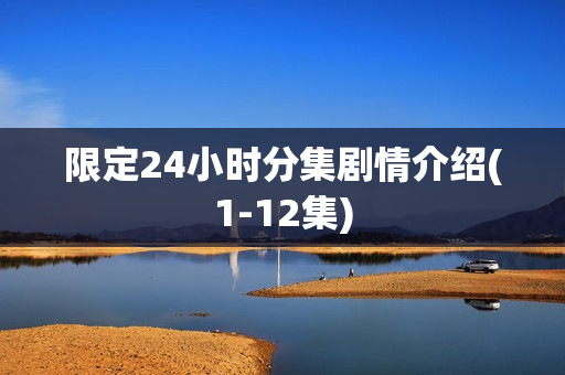 限定24小时分集剧情介绍(1-12集)