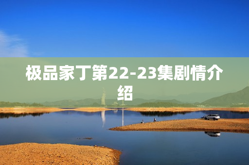 极品家丁第22-23集剧情介绍