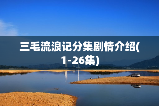 三毛流浪记分集剧情介绍(1-26集)