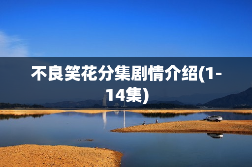 不良笑花分集剧情介绍(1-14集)