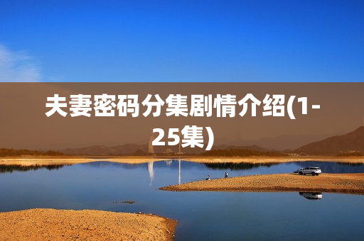 夫妻密码分集剧情介绍(1-25集)