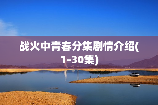 战火中青春分集剧情介绍(1-30集)